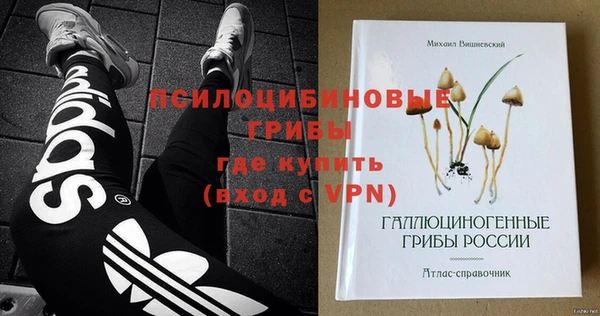 эйфоретик Аркадак
