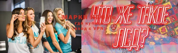 эйфоретик Аркадак