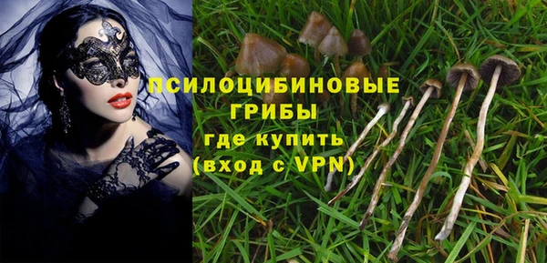 эйфоретик Аркадак